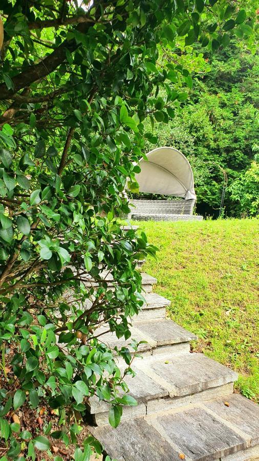 Bella Vista Lago Maggiore Ghiffa Exteriér fotografie