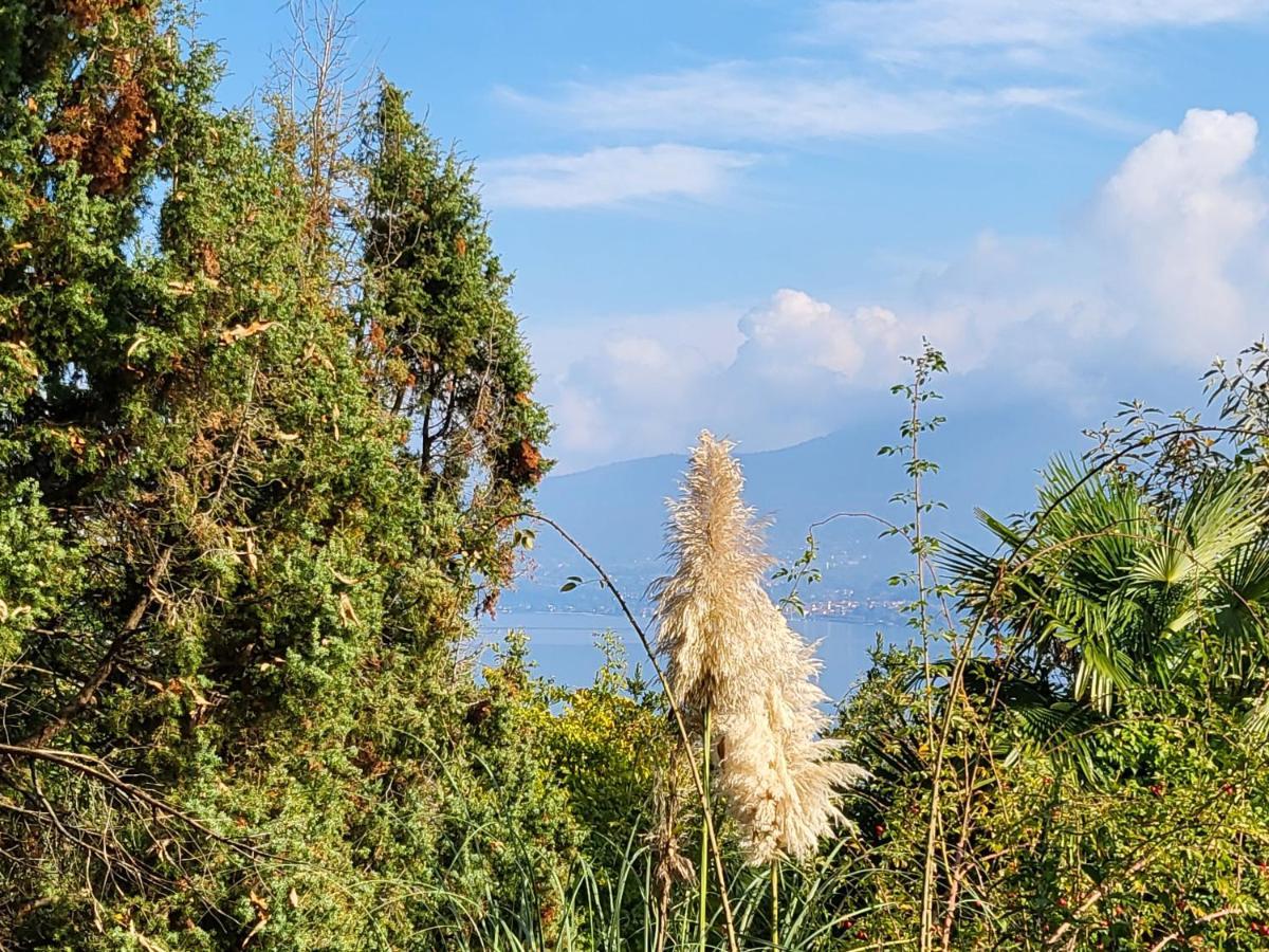 Bella Vista Lago Maggiore Ghiffa Exteriér fotografie