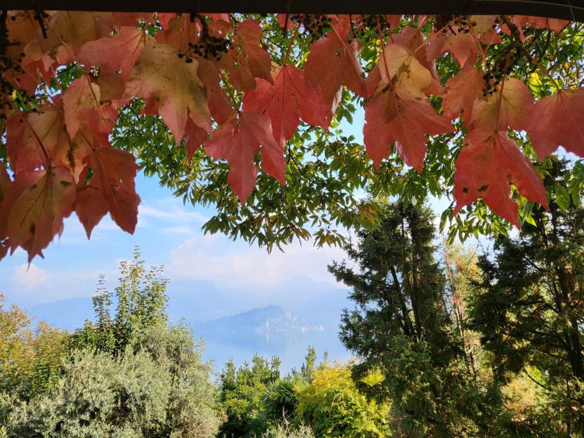 Bella Vista Lago Maggiore Ghiffa Exteriér fotografie